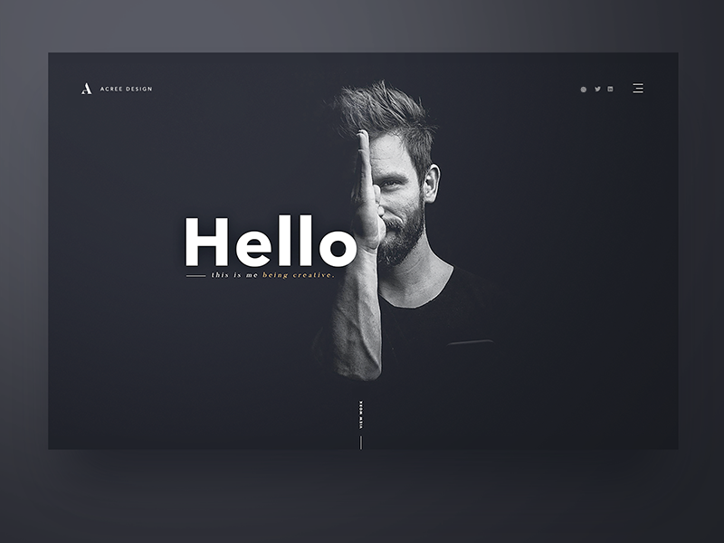 portfolio example picture 1