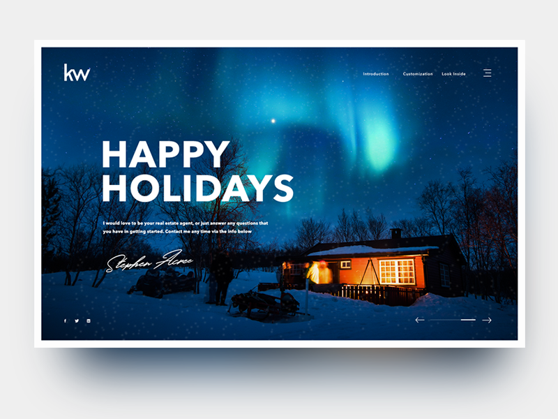 portfolio example picture 2